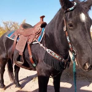 Meet your Posher, Crystal